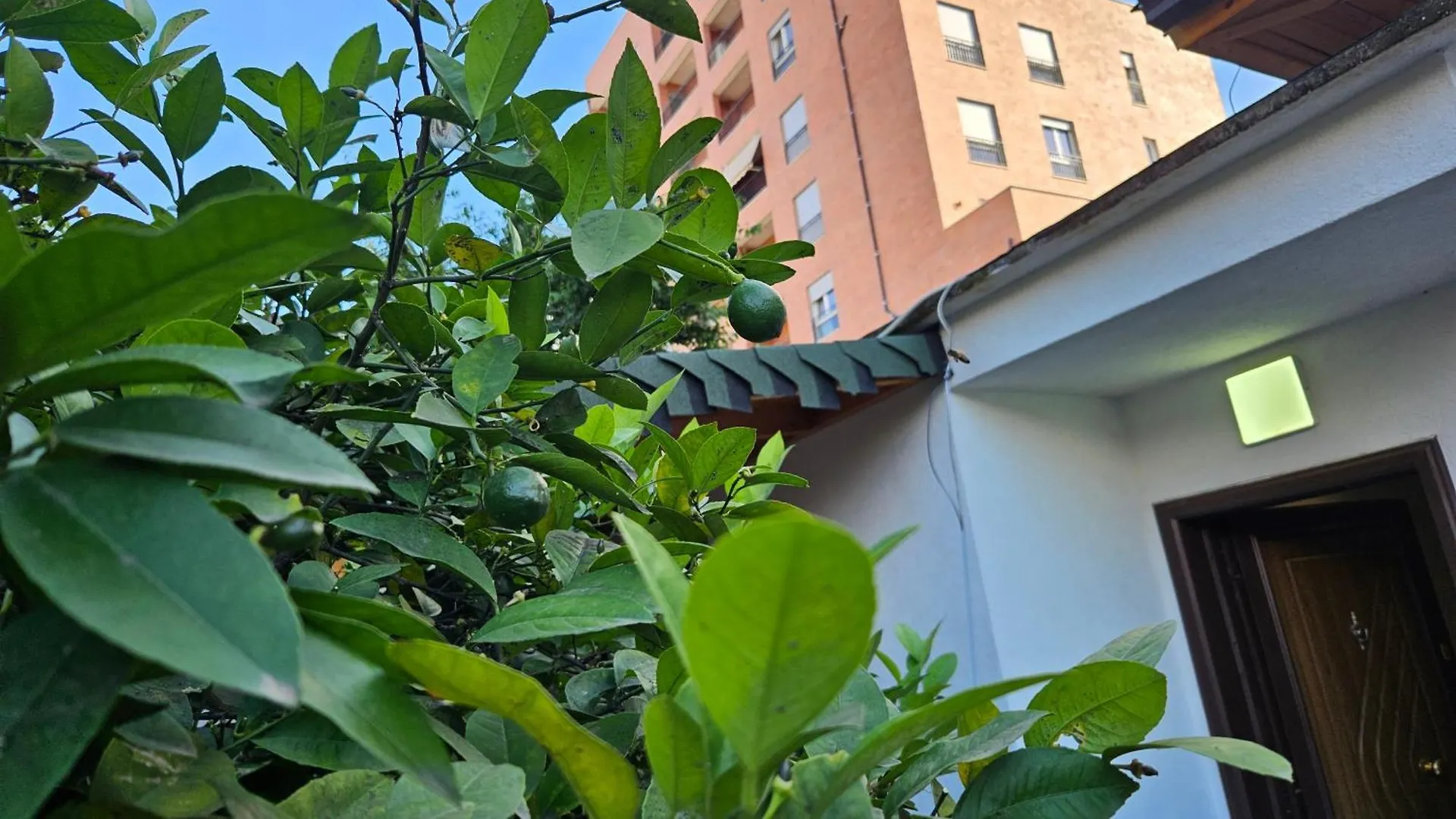 Garden Lemon Tree Villa Tirana 0*,